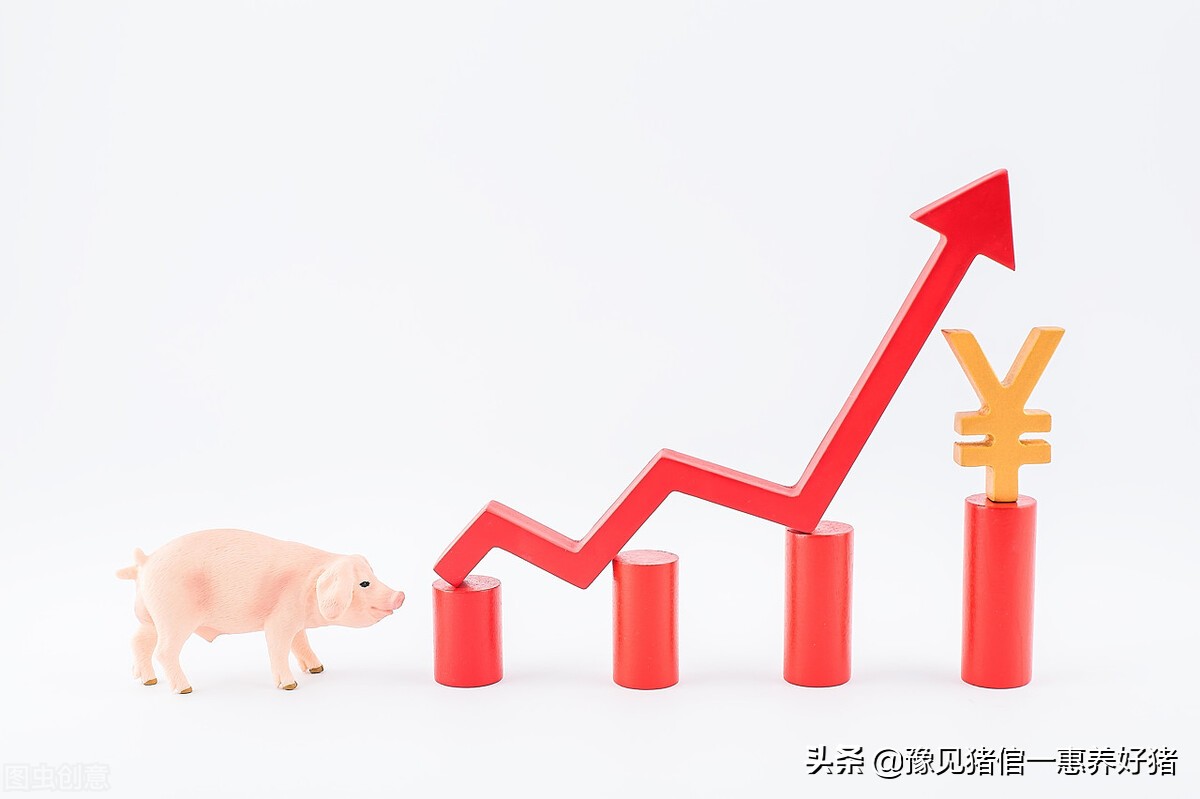 兽药知识讲解视频,兽药原粉跟成品区别