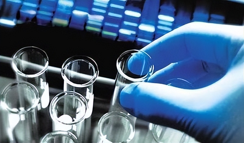 挑战社会法治底线！“暗藏杀机”的“寄血验子”，为何屡禁不止？