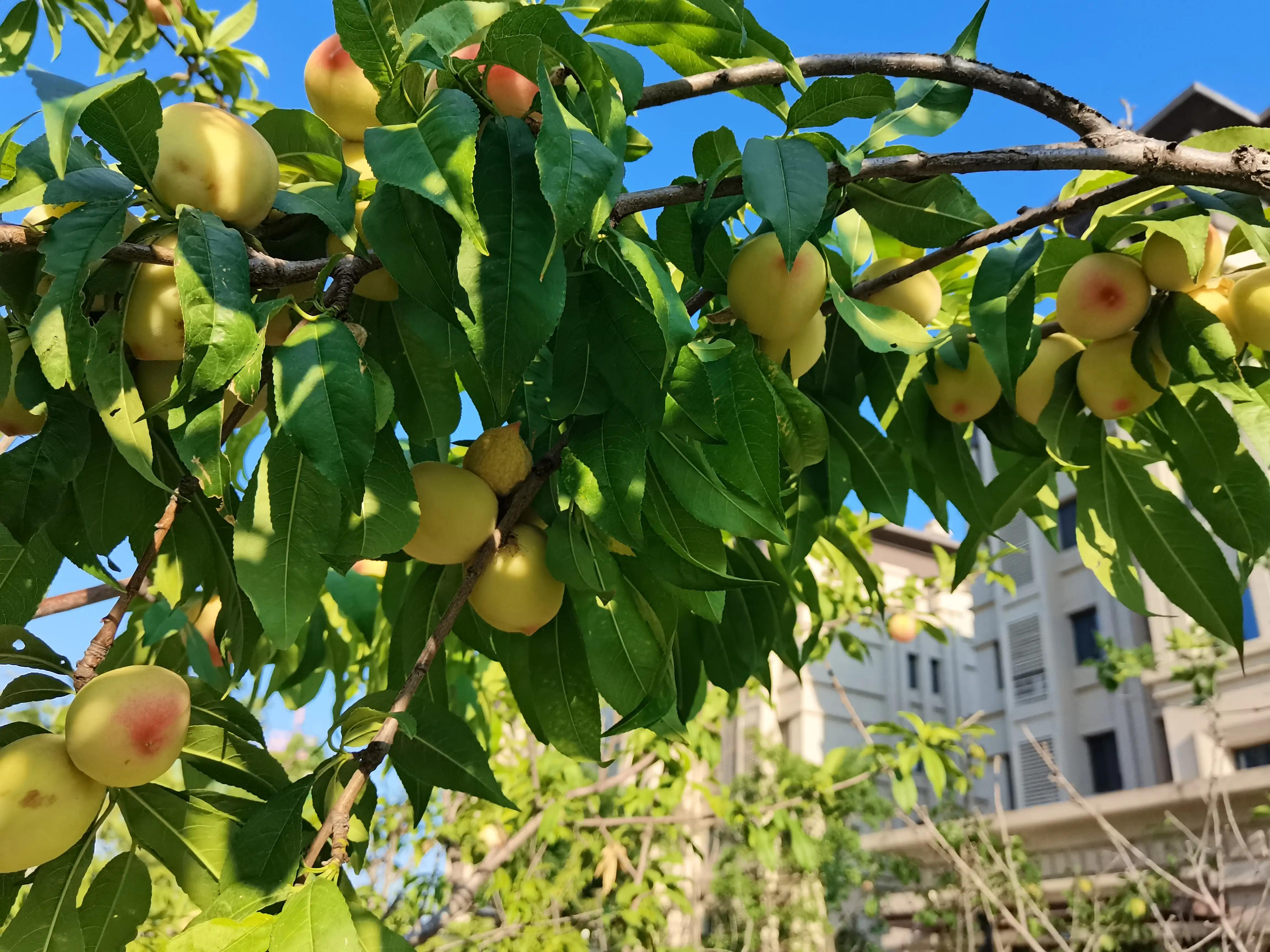 40岁的男人如何成熟懂得人情世故,男人必须懂的10条人情世故