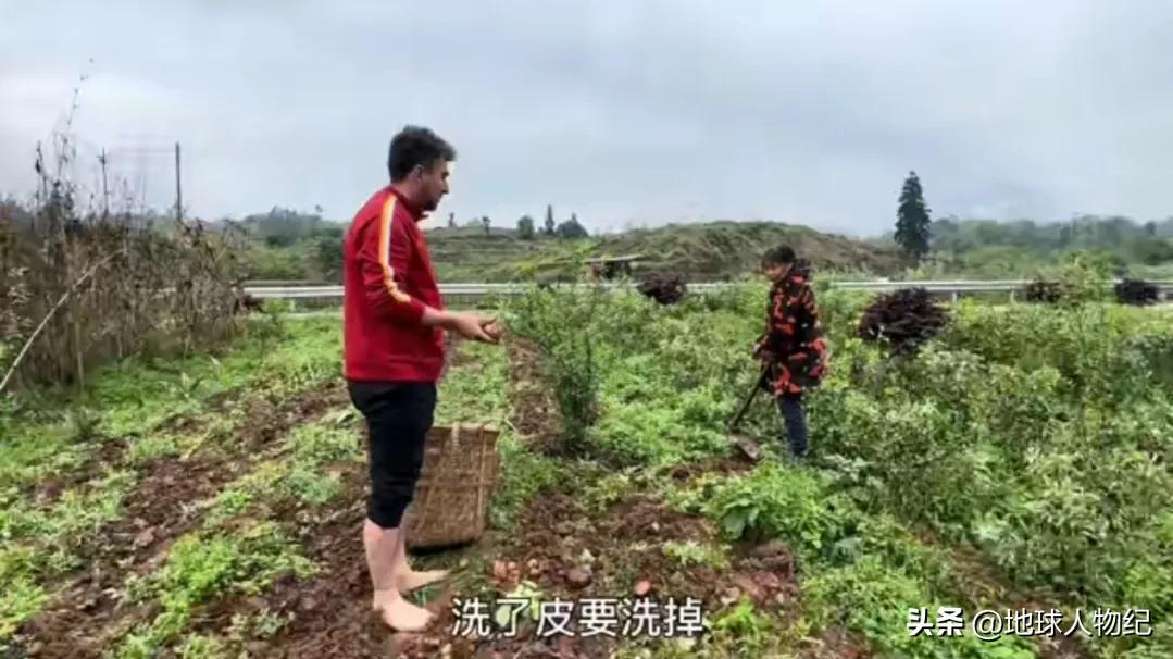 土耳其阿布嫁到四川8年,土耳其阿布和媳妇为什么要回农村