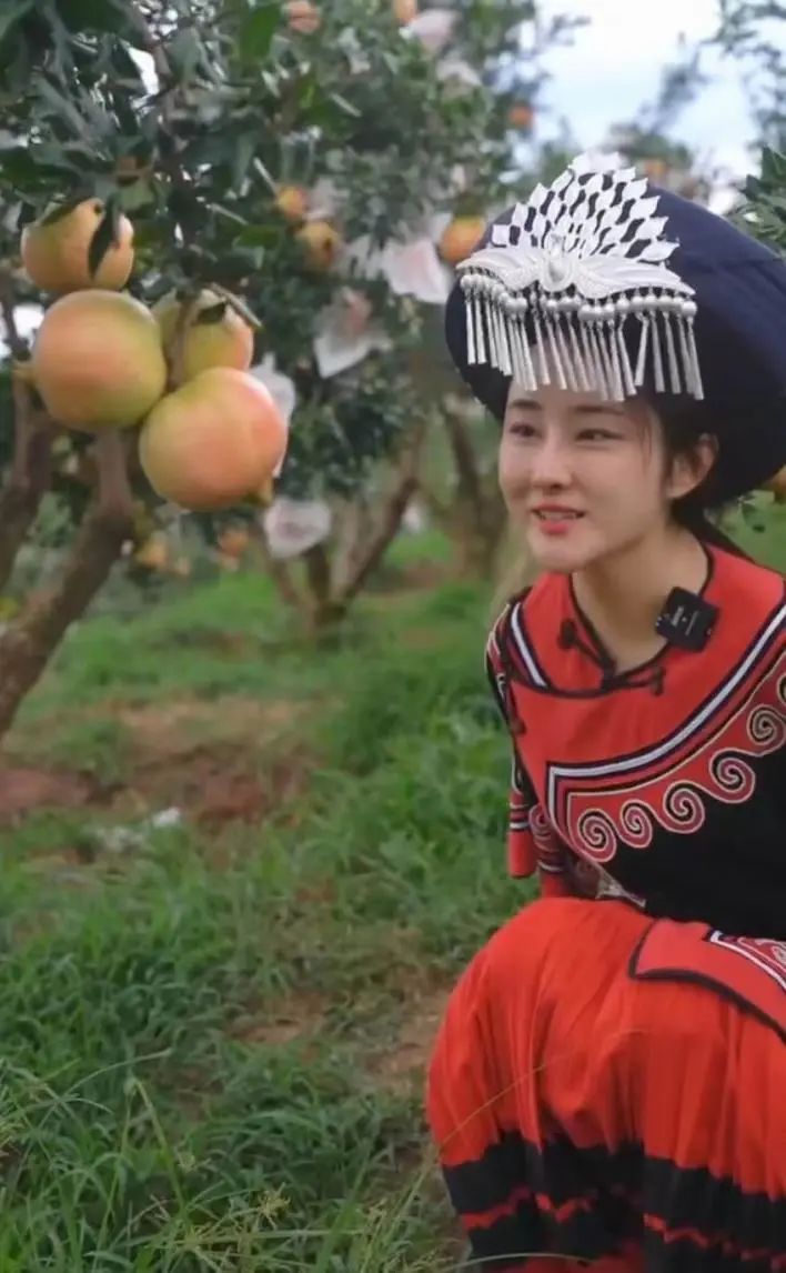 蚌埠杨莉头条视频,安徽蚌埠新闻人物杨莉