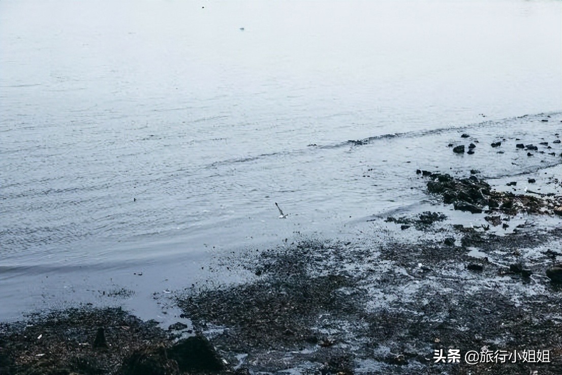 夏日海边浪漫迷人,滨城风光秀丽浪漫气息爆表