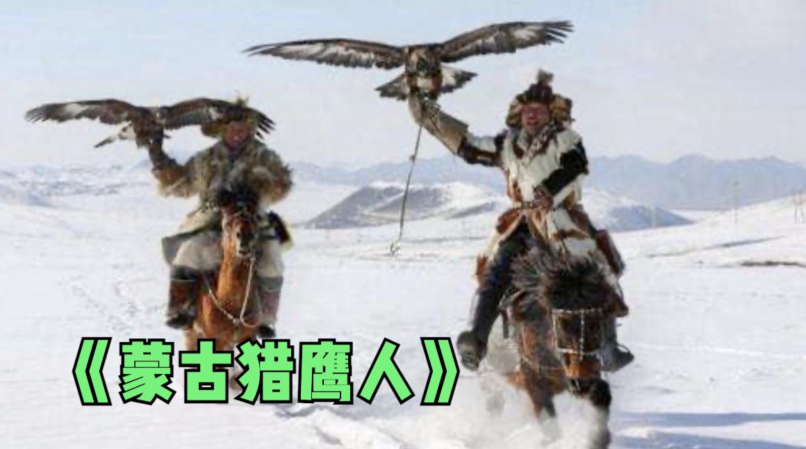 金雕击毙狼全过程,蒙古猎鹰捕狼视频