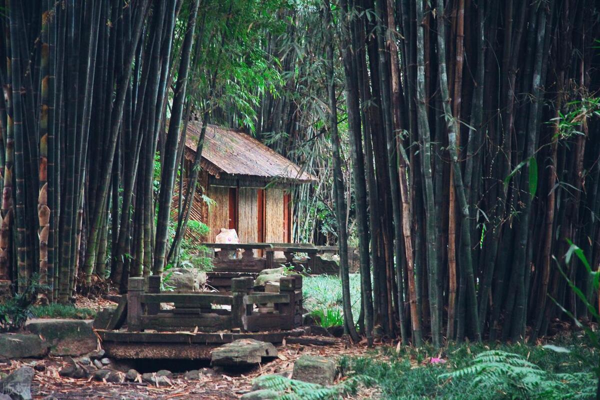 成都最美的公园,成都最美的公园叫什么名字啊