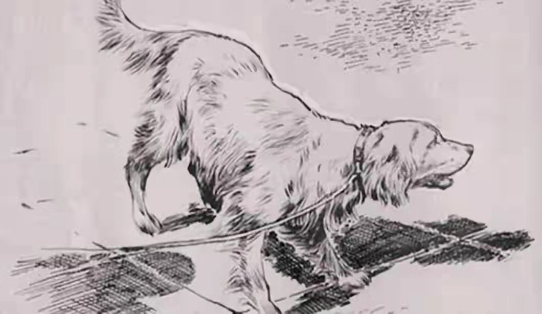 民间故事男子破庙避雪,民间故事躲在床下逃过一劫