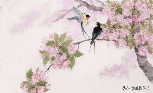 散与群芳自在春：许你一场诗词里的春暖花开，每一朵都惊艳了春天