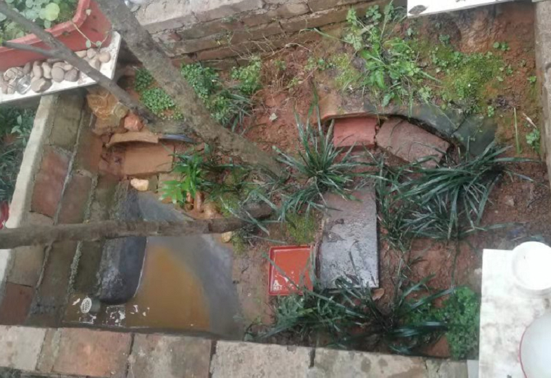 黄缘龟和黄喉拟水龟的区别,黄缘龟是陆龟还是水龟