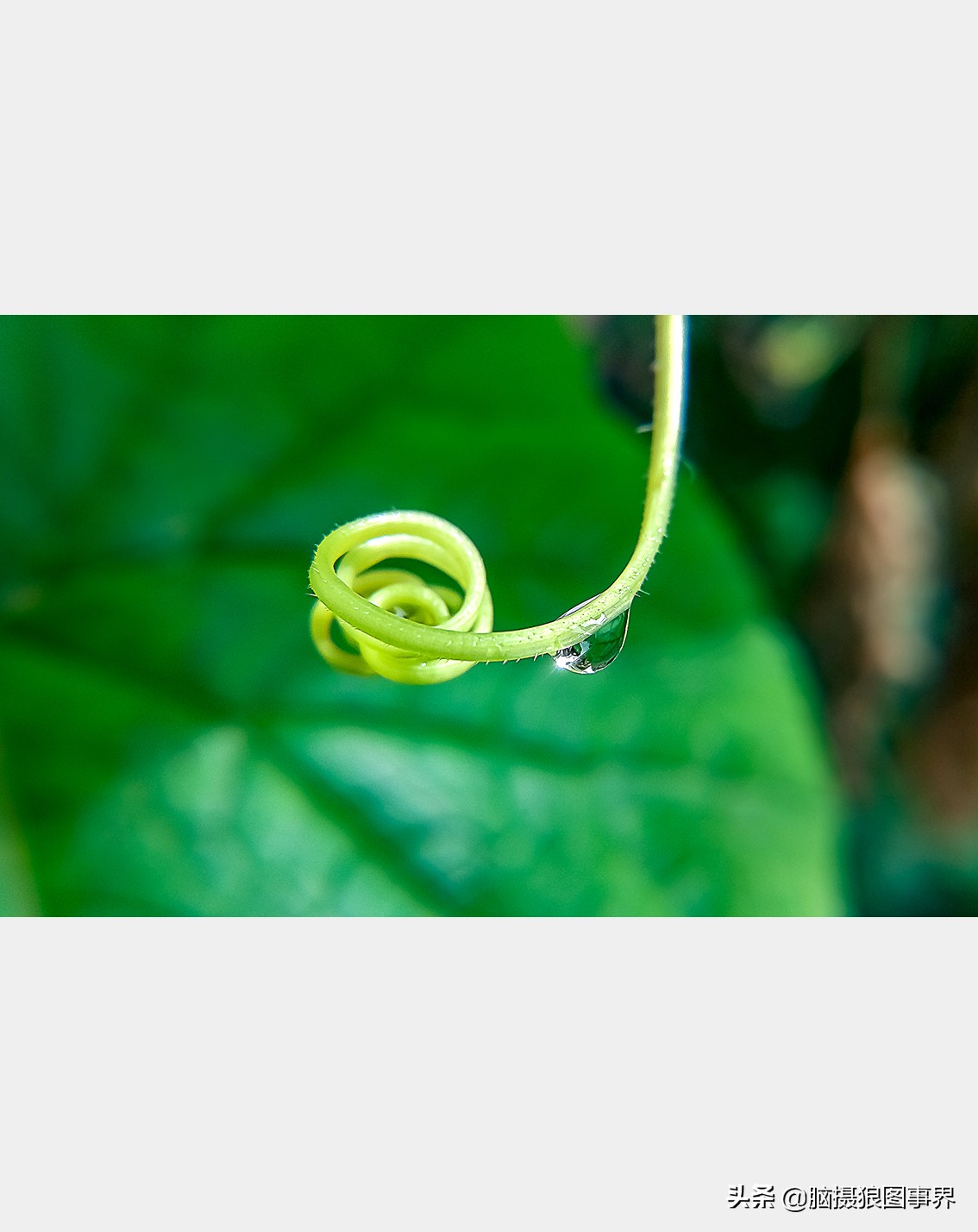 手机拍照不清晰怎么才能拍的好看,vivo手机拍照模糊怎样才能变清晰