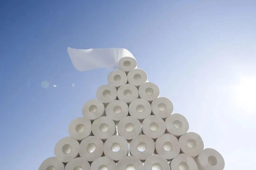 国内生活用纸涨价,生活用纸涨价原因