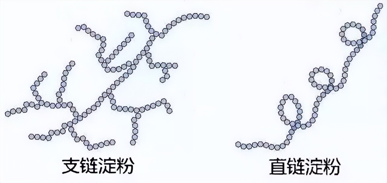 团粉和生粉有什么区别,嫩肉粉生粉团粉的区别