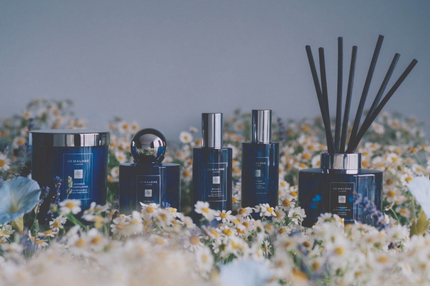 稀物集小蘑罐；橘朵高光修容一体盘；intoyou草莓熊...|新品速递