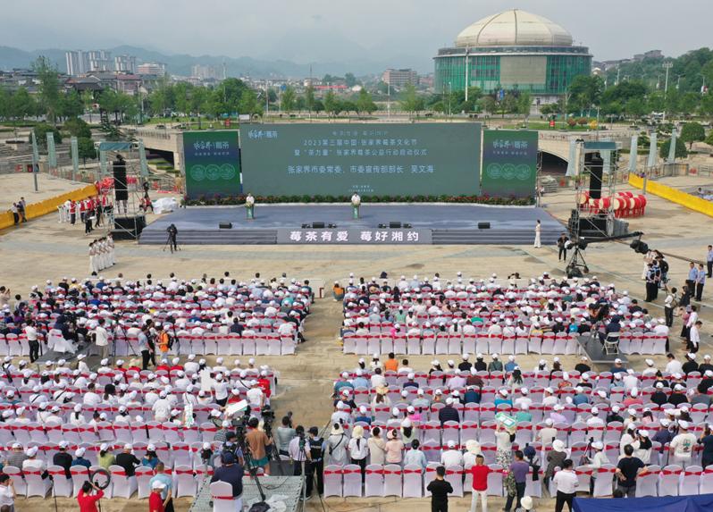 2023第三届中国张家界莓茶文化节,张家界莓茶文化节将启幕