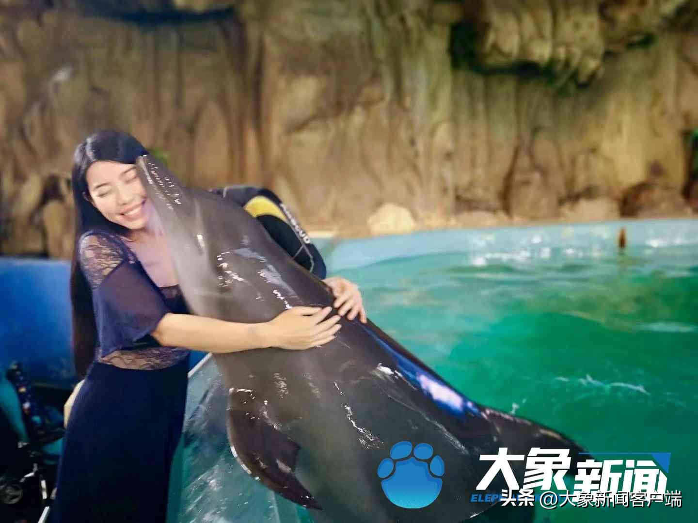 何灏浩在美人鱼中饰演谁,何灏浩的水下舞蹈