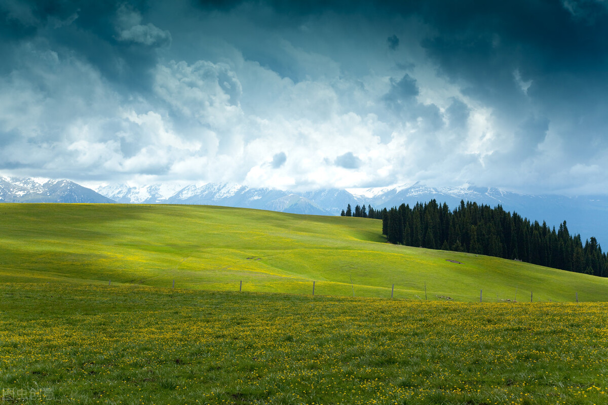 遇到很强势的婆婆怎么应对,强势婆婆无理取闹
