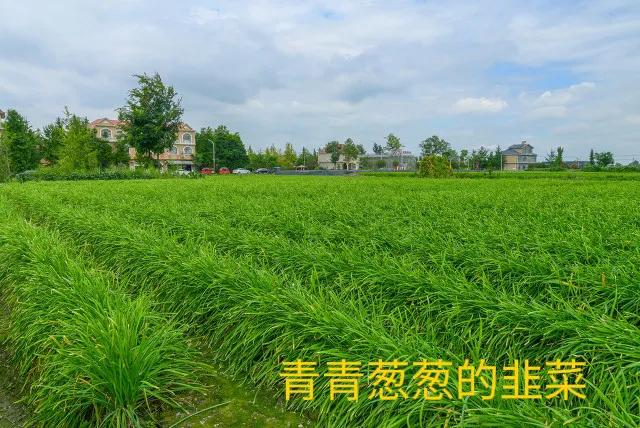 普通的菜里有满满的爱,简单的饭菜真诚的友谊