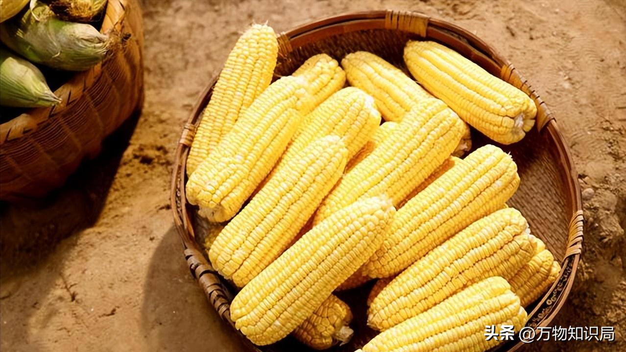 新西兰控告中国果农胜诉了吗,果农罚款