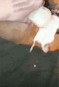 想穿这样的衣服还怕别人看见吗,穿这样的衣服出门真的不尴尬吗