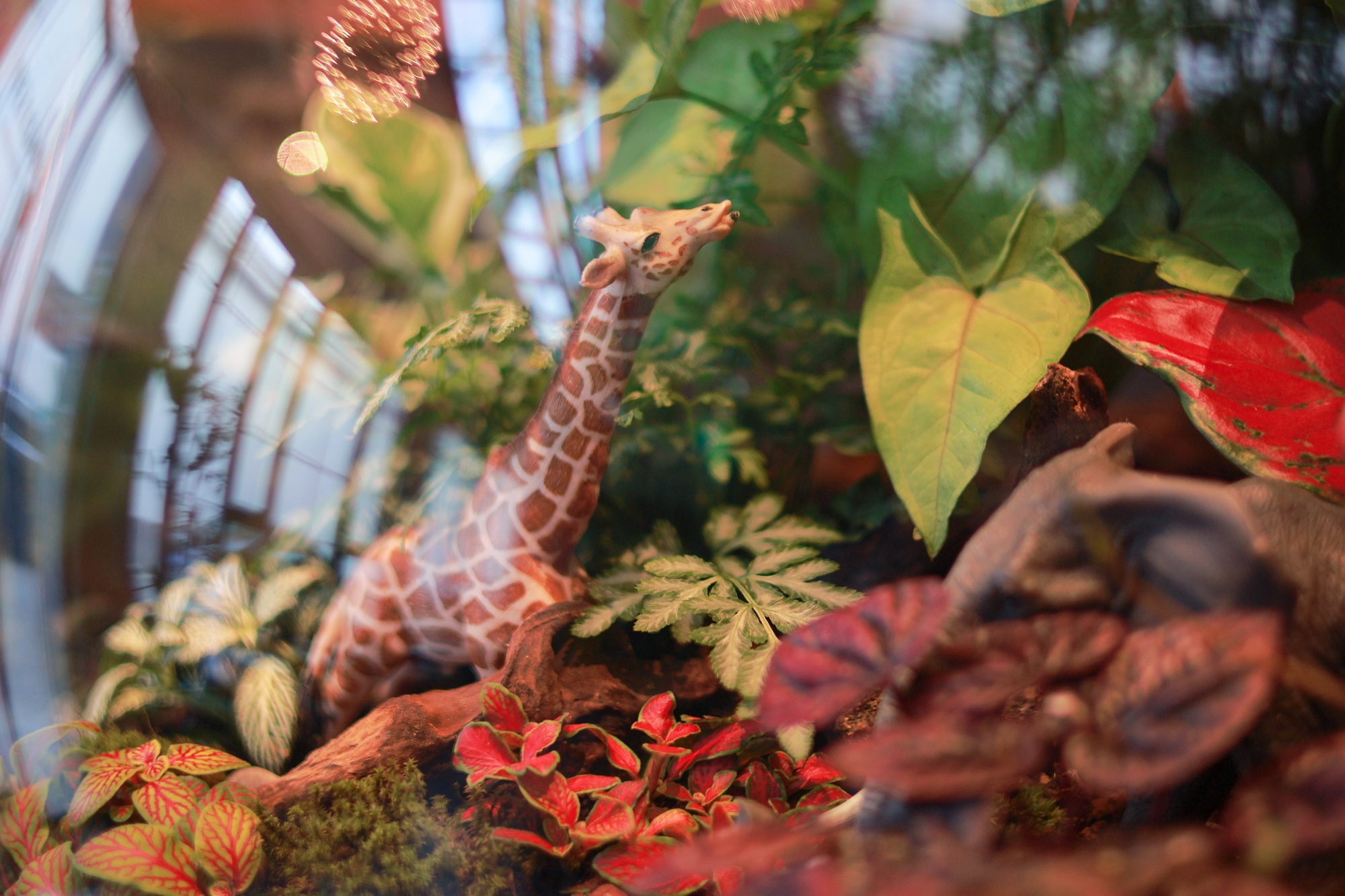 佳能eosr50深度评测,佳能eosr50优缺点