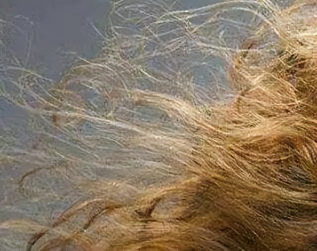 头发怎么看健康状况,头发健康的奥秘