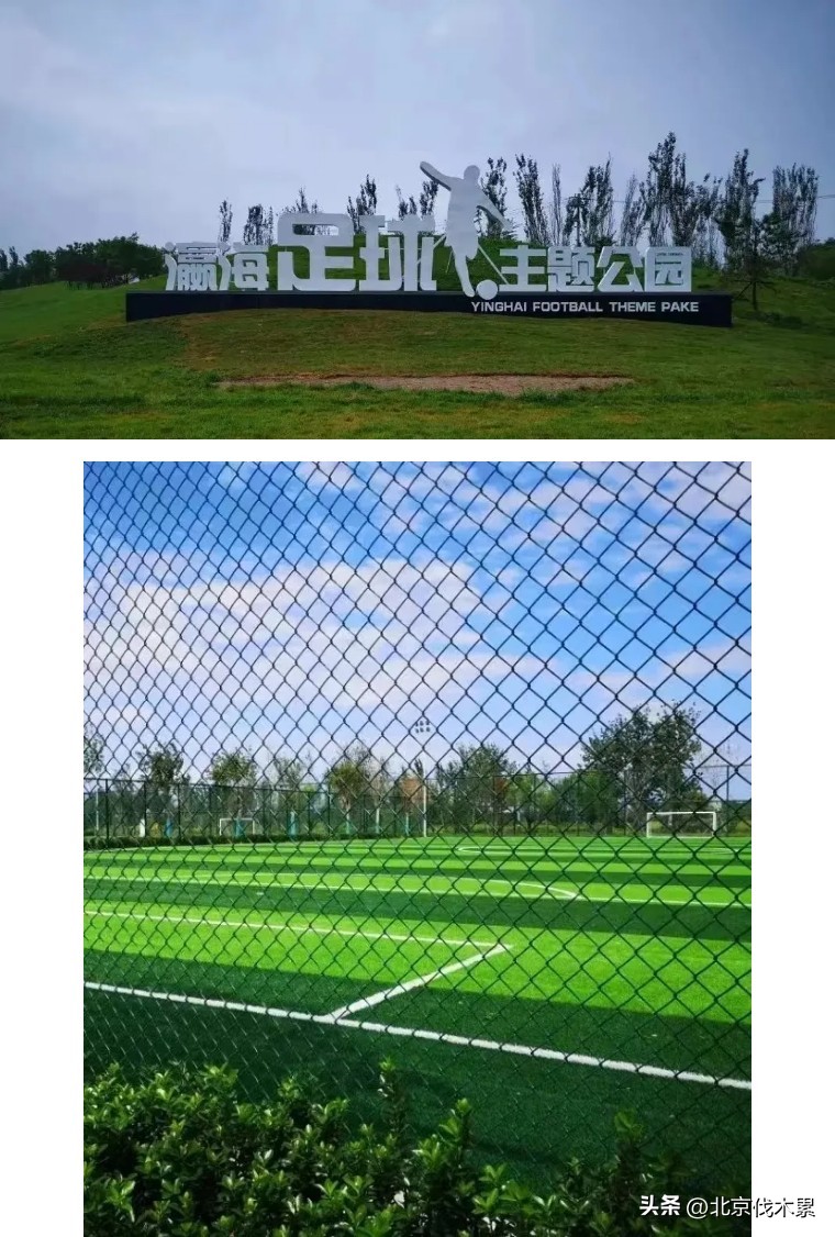 运动萌兽主题公园冬季,天气暖和了野地里撒欢