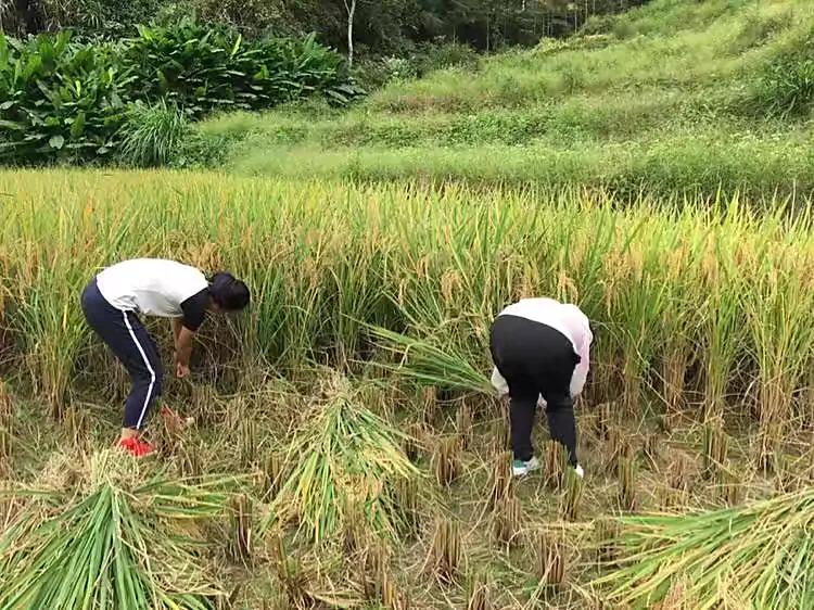 大学生毕业就业的10个方向（非专家建议，没有深度）