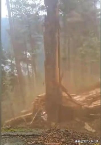 女朋友不愿意跟我亲吻,女朋友不愿意和我亲吻怎么办