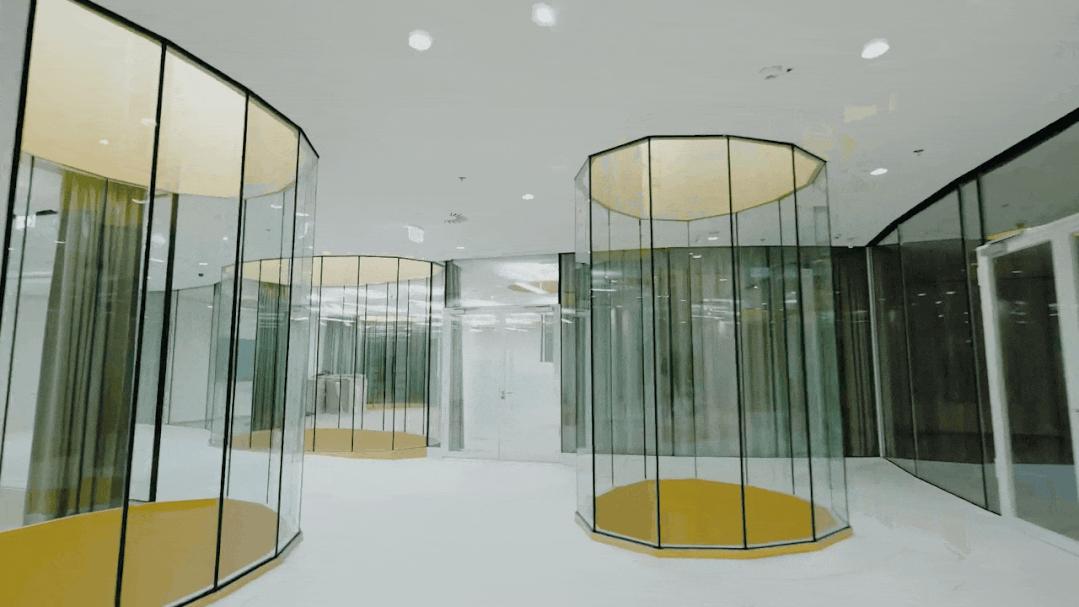 与藤本壮介一起走进金色叶子‘殿堂’，匈牙利音乐之家