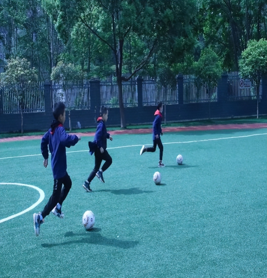 广元盘龙第二小学,广元市盘龙二小