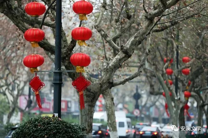 回家过年组诗,过年回乡情征文