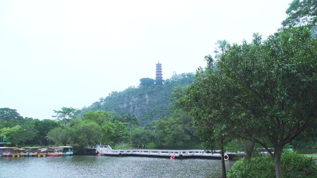 爱牙护牙健康知识优质课,爱牙护牙去哪里学习