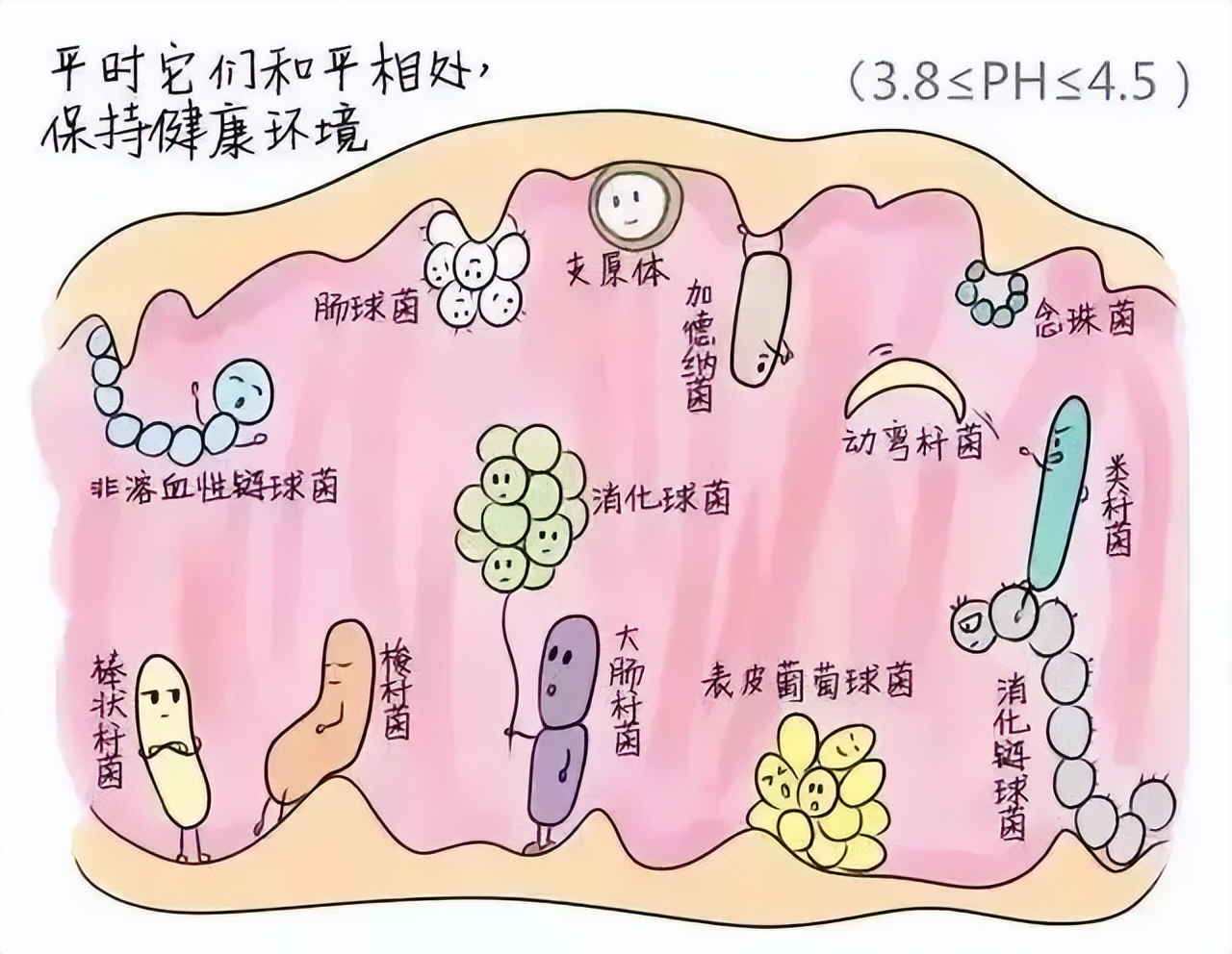 医生平时是不是更注重卫生,医生都很注重卫生