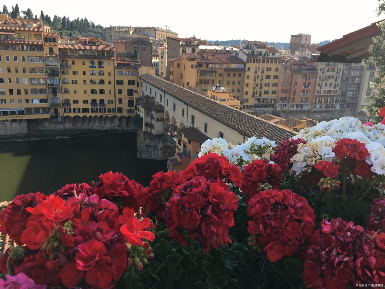 盘点春天必去的花海胜地,花间游风景