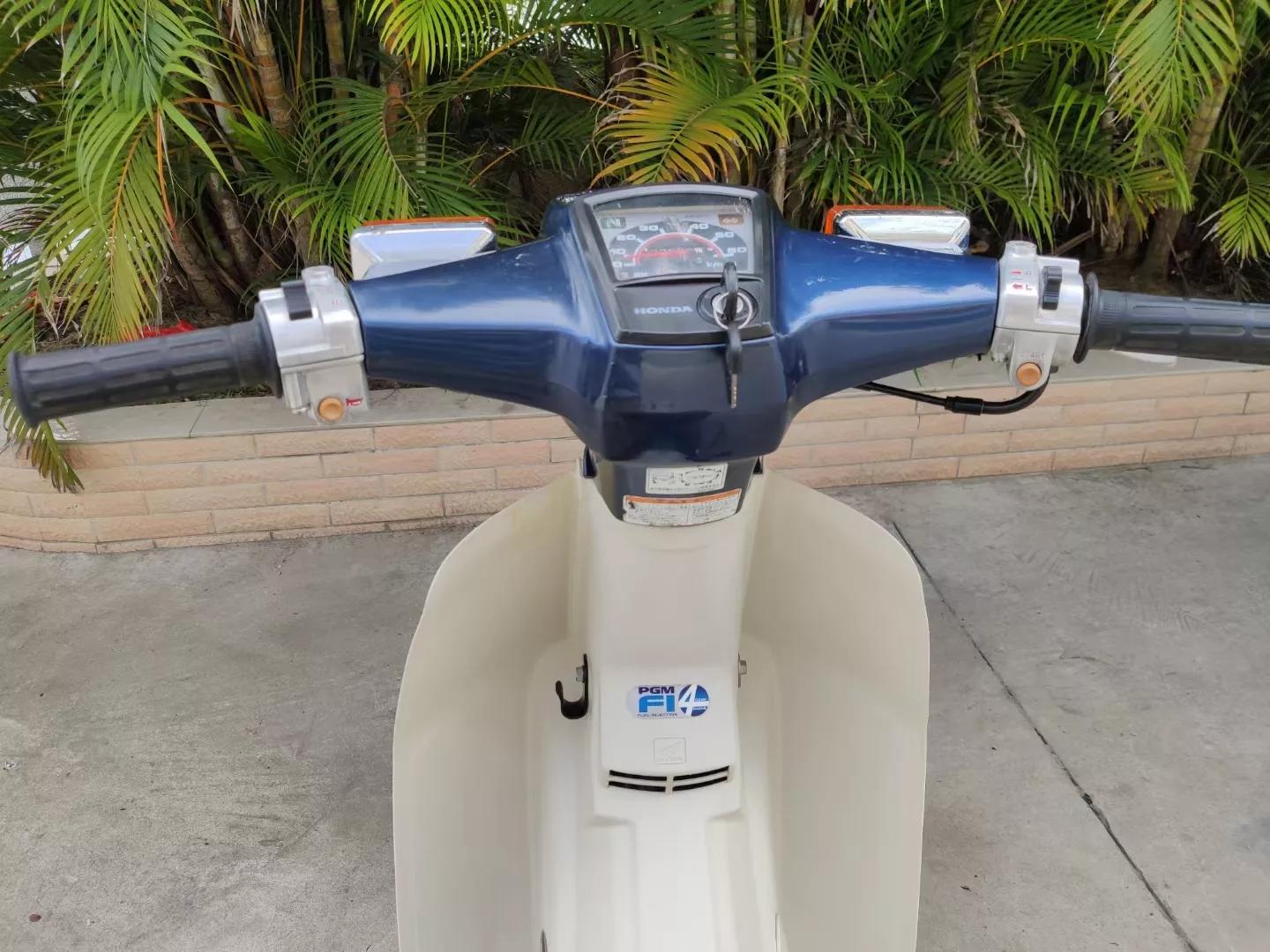 哪些动漫里面有本田幼兽,本田幼兽漫画图片