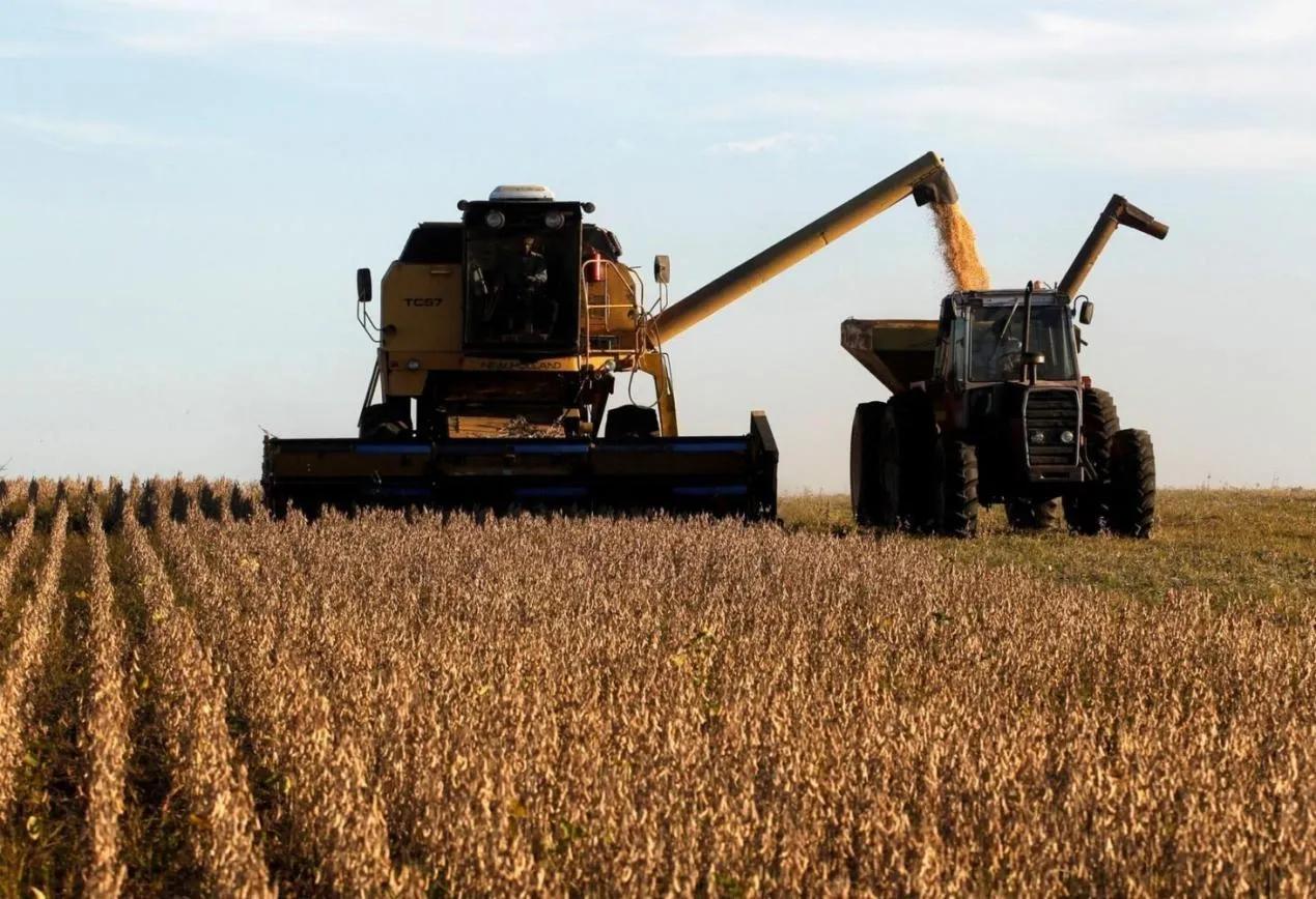 美国会不会停止对中国出口大豆,美国卡脖子最新信息