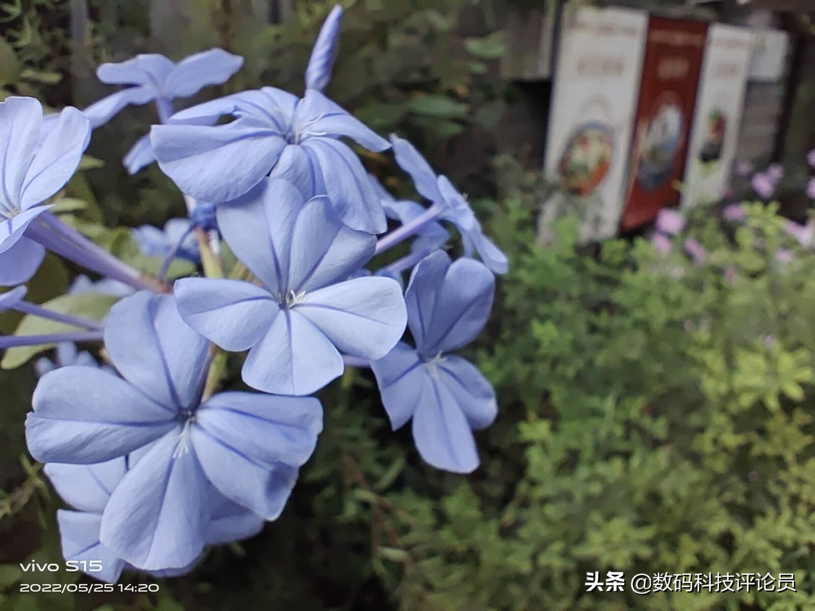 vivos15是用的骁龙870巅峰版吗,vivos15骁龙870巅峰版与普通版