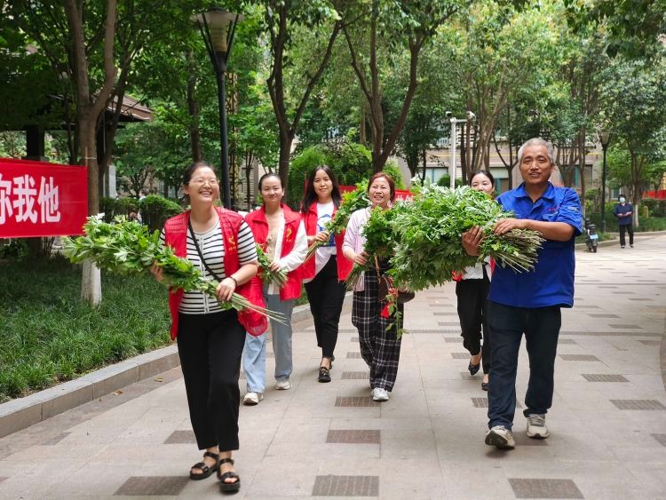 临渭区杜桥街道社工站联动各社工室开展“浓情端午，乐在其粽”主题活动