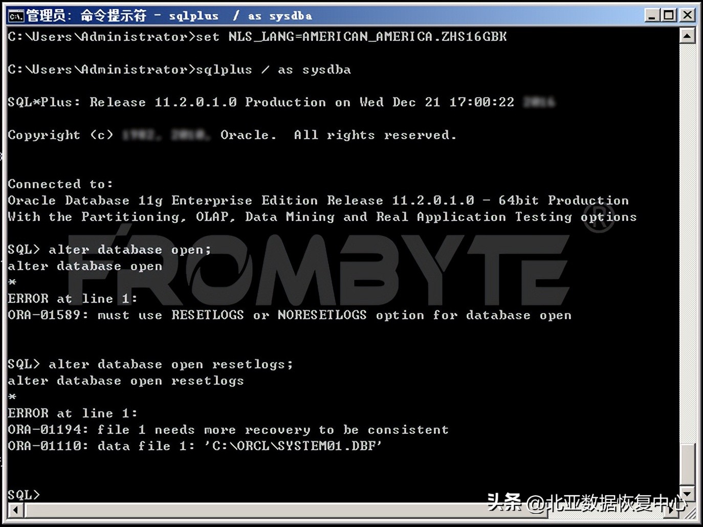 数据库数据恢复-Oracle数据库文件损坏且无备份的数据恢复案例