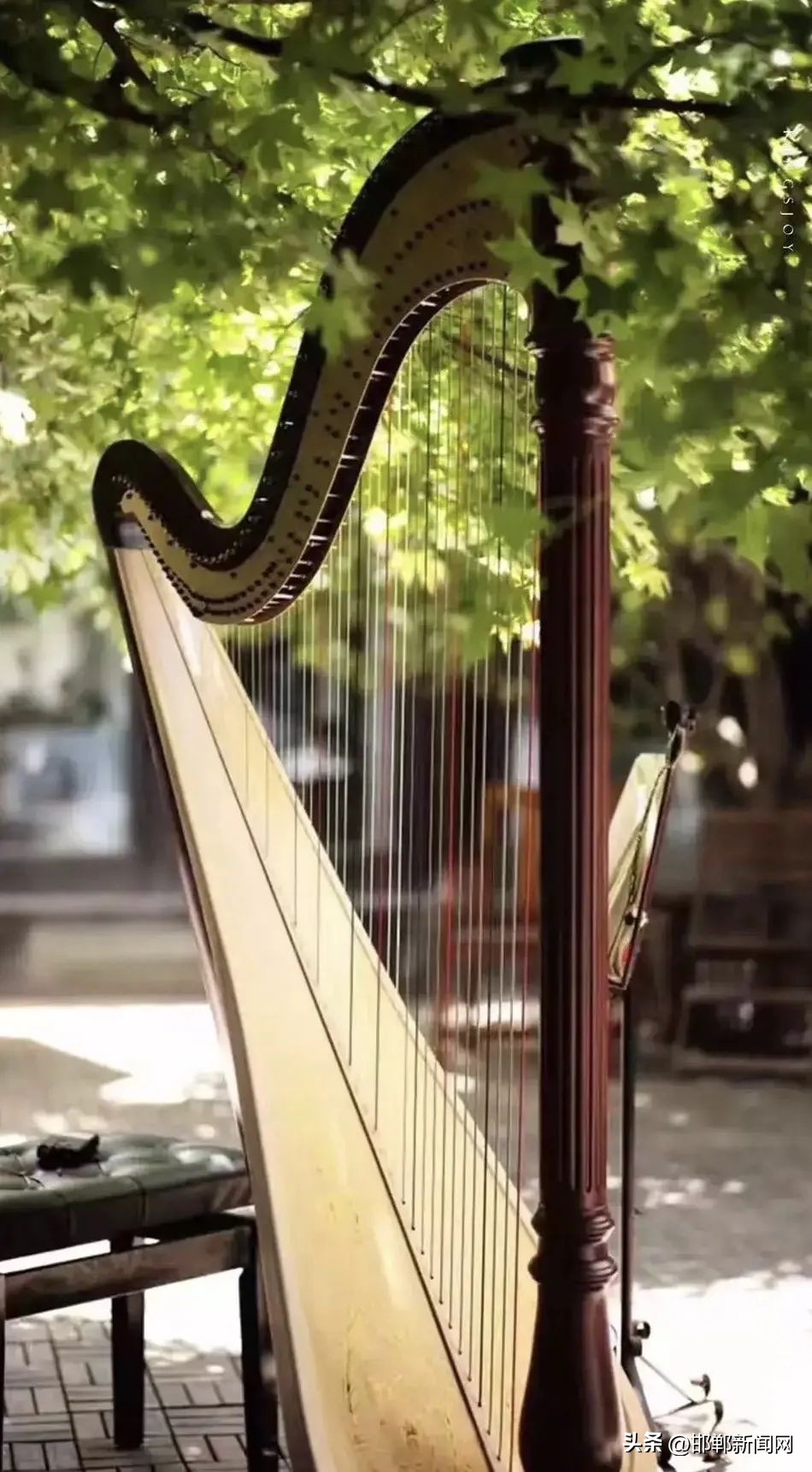 磁县最佳旅游景点是哪,磁县免费旅游景点大全