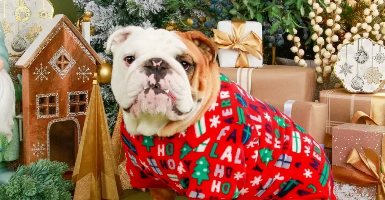 多伦多的冬季生活,多伦多冬季好去处