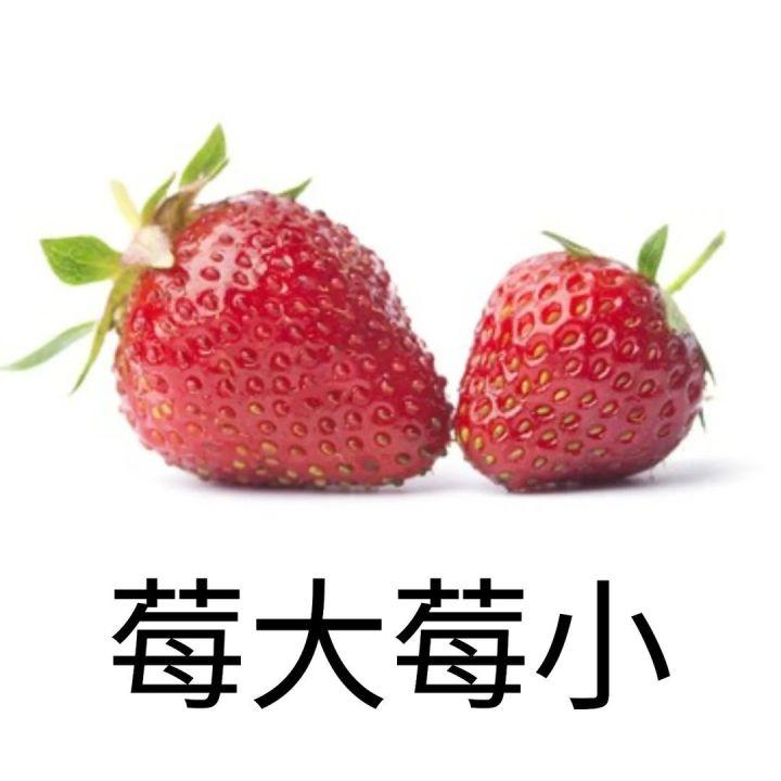 谐音梗爆笑大合集,笑死了这是我见过最搞笑的谐音梗