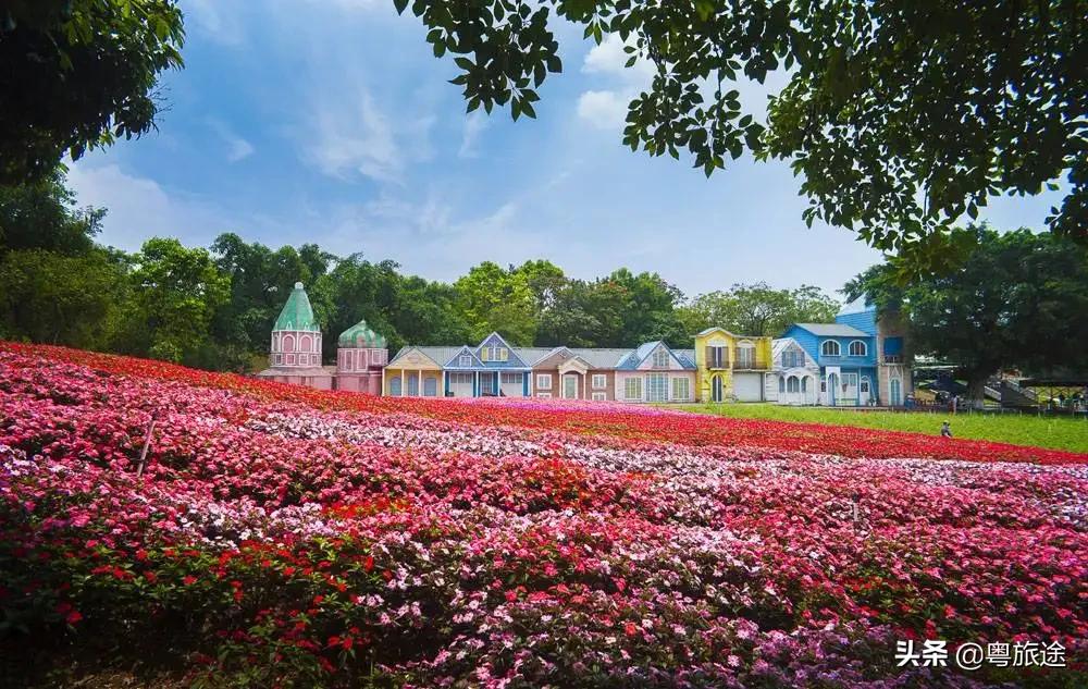 东莞一日游必去免费十大景点,东莞十大景区哪个最值得去