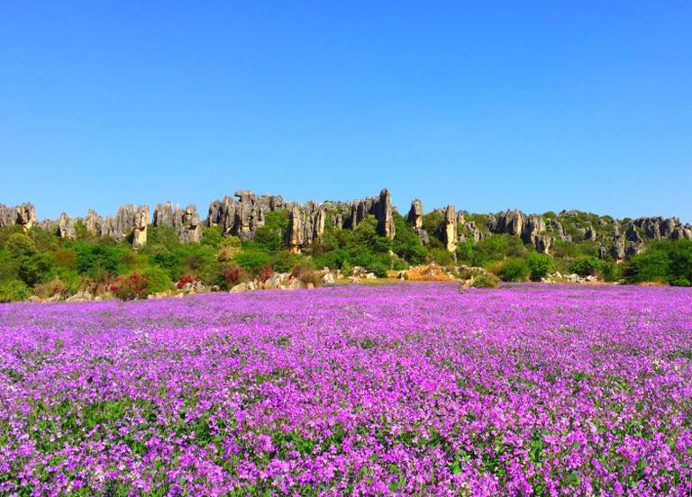 昆明旅游攻略绝美景点有哪些,昆明旅游攻略景点推荐理由大全图