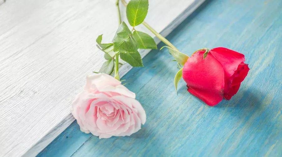 三观不合是人与人最远的距离,三观是人生交往最重要的东西