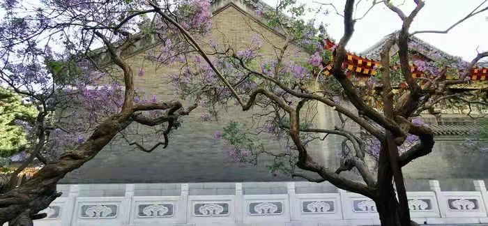 倓虚法师故事自述,倓虚法师出家时的心理路程