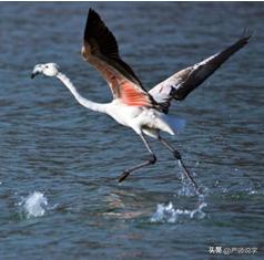 汉字偏旁部首精讲系列十五,汉字偏旁部首名称表最全最完整