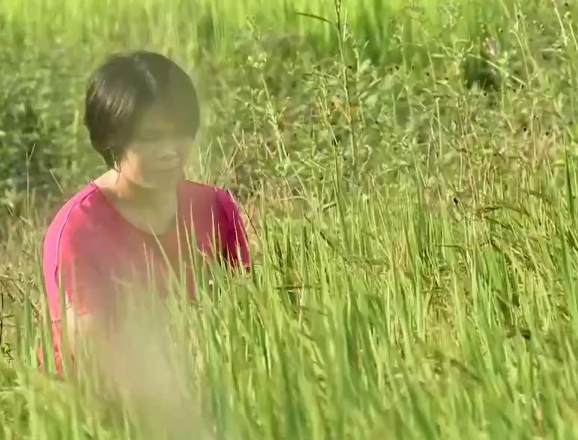 90鍚庡コ瀛╄繑涔″垱涓氱灏忕ɑ,90鍚庤繑涔″垱涓氬ぇ瀛︾敓绉嶆姘寸ɑ