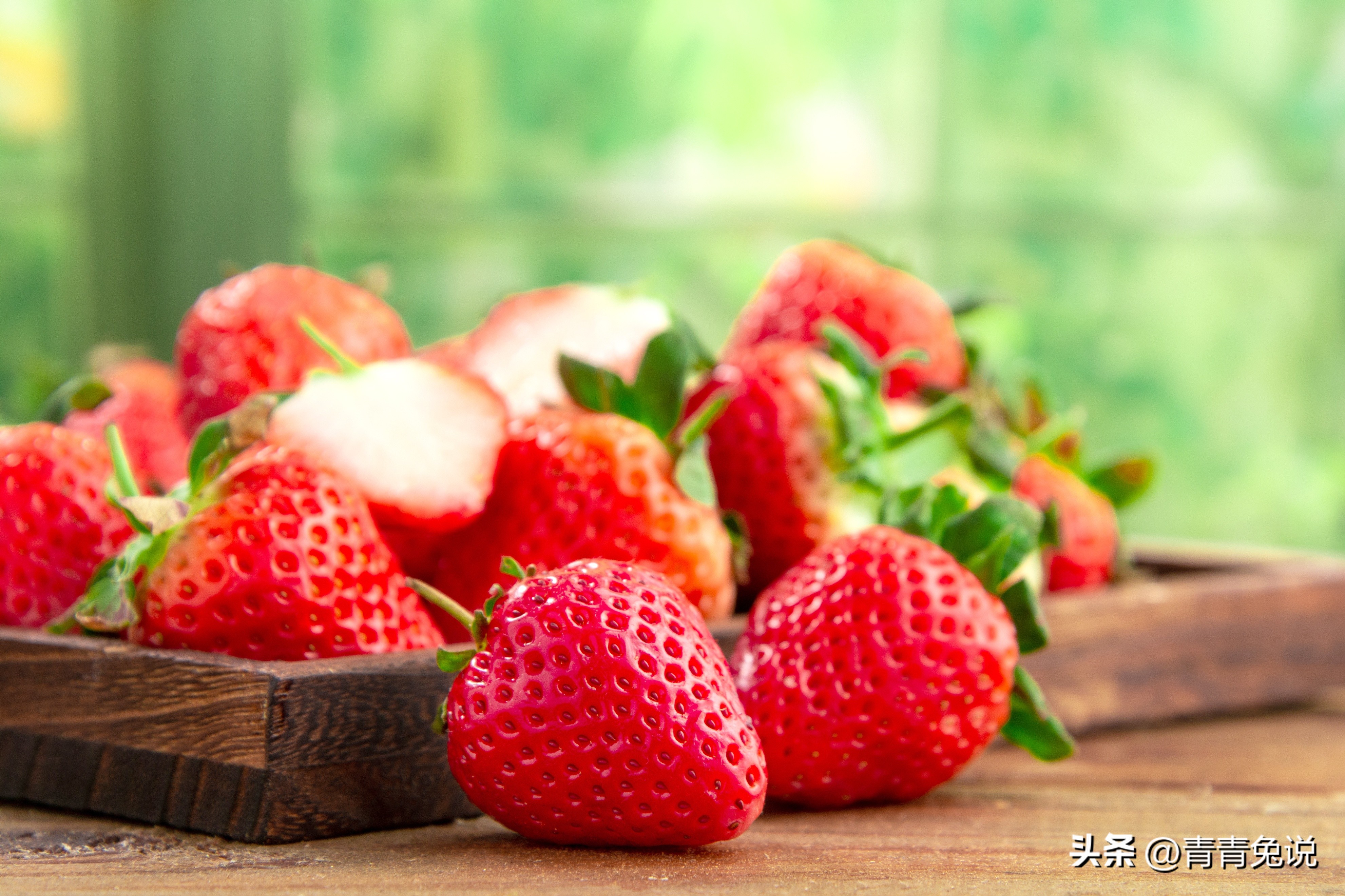 春季多吃这5种菜帮助孩子长得高,孩子常吃这几种水果营养健康成长