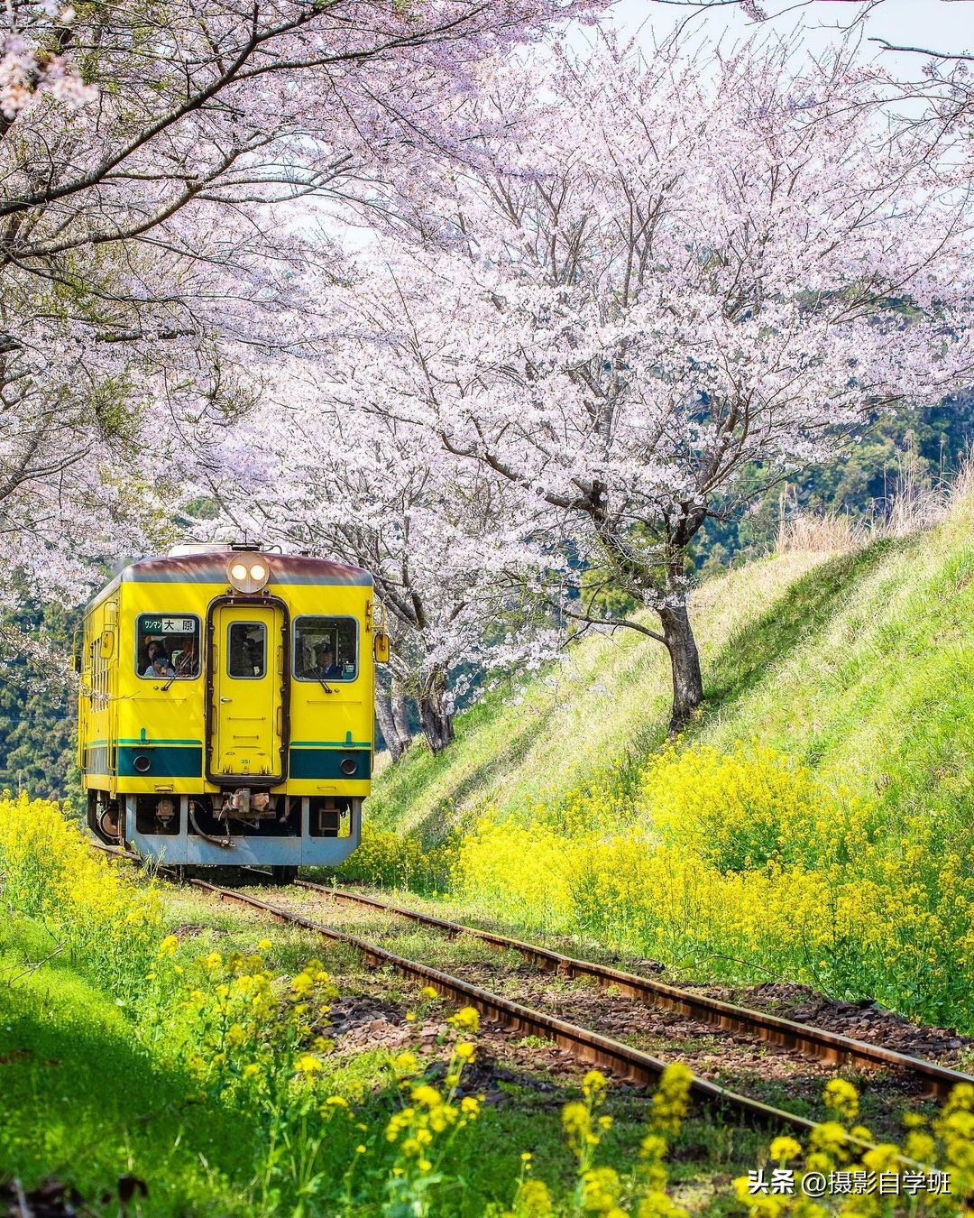 风景手机拍照教程零基础学摄影,新手手机拍照风景技巧
