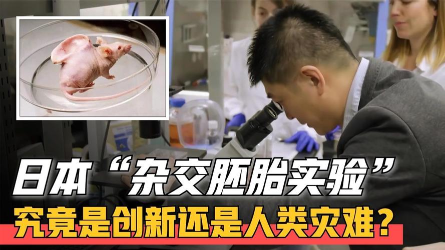 人兽真能杂交，日本批准“人兽杂交胚胎”实验，是福是祸？