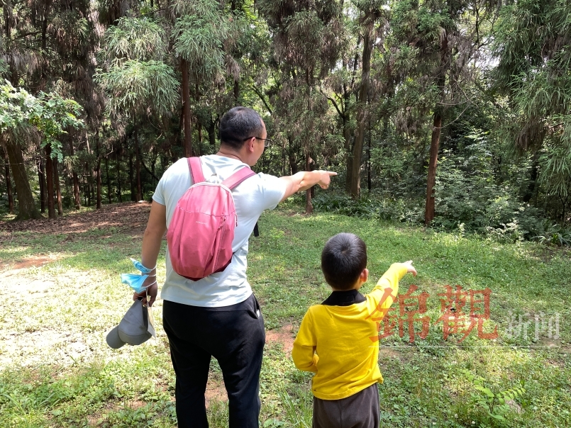 制作标本、植物拓染、望远镜观鸟2022成植生物多样性自然嘉年华来啦